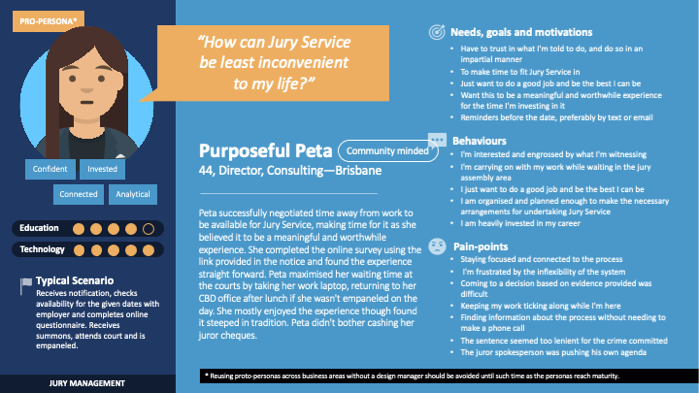 Example of a project persona